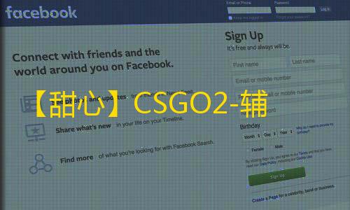 【甜心】CSGO2-辅助