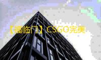 【福临门】CSGO完美-辅助