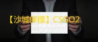 【沙城保镖】CSGO2-辅助