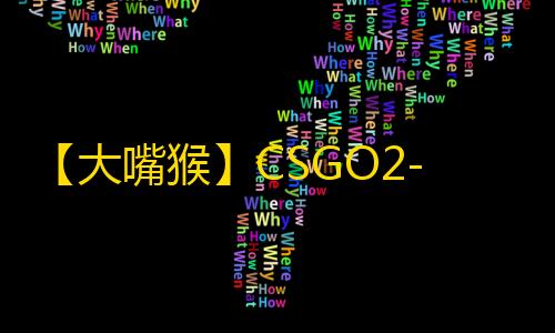【大嘴猴】CSGO2-辅助