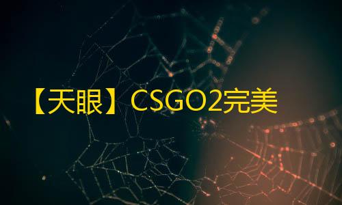 【天眼】CSGO2完美-辅助