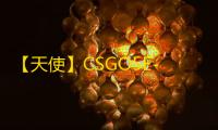 【天使】CSGO5E-辅助