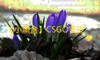 【小黑盒】CSGO官皮-辅助