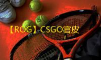 【ROG】CSGO官皮-辅助