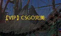 【VIP】CSGO完美-辅助