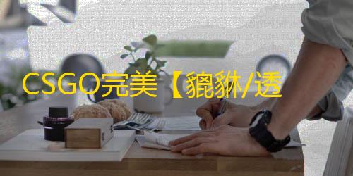 CSGO完美【貔貅/透饰/梓喵/仅支持完美平台】辅助