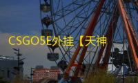 CSGO5E外挂【天神/单板透视/仅支持5E/过玄武磐石】辅助