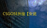 CSGO5E外挂【女武神/透饰/梓喵/雷达仅支持完美】辅助