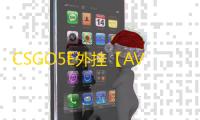 CSGO5E外挂【AVA/单板方框透/仅支持5E平台】辅助