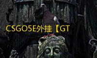 CSGO5E外挂【GTR/透饰/自瞄/仅支持5E】辅助
