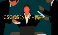 CSGO5E外挂+官匹【小龙人/透饰/梓喵】辅助