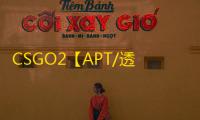 CSGO2【APT/透视/梓喵/支持完美平台】辅助